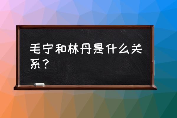 打羽毛球的什么丹 毛宁和林丹是什么关系？