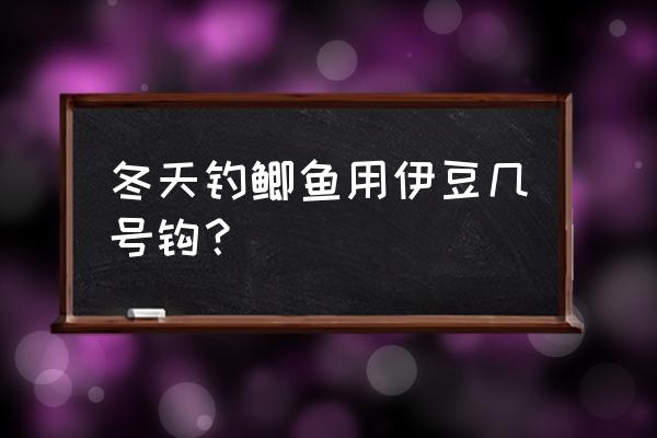 冰钓鲫鱼适合什么鱼钩 冬天钓鲫鱼用伊豆几号钩？