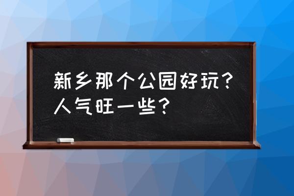 新乡室内攀岩哪里有 新乡那个公园好玩？人气旺一些？