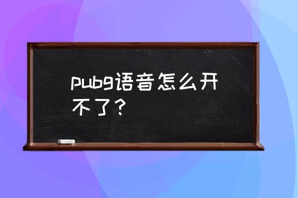 绝地求生为什么我打不开麦克风 pubg语音怎么开不了？