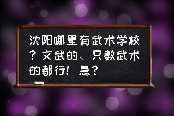 沈阳哪里有教小孩武术的班 沈阳哪里有武术学校？文武的、只教武术的都行！急？