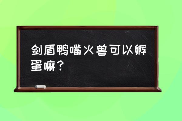 口袋妖怪剑盾怎么快速孵蛋 剑盾鸭嘴火兽可以孵蛋嘛？