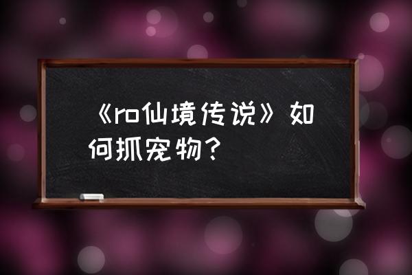 仙境传说如何提升宠物好感度 《ro仙境传说》如何抓宠物？