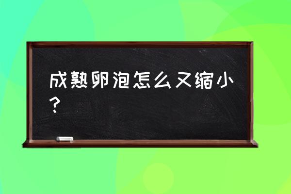 卵泡破之前用跳绳吗 成熟卵泡怎么又缩小？