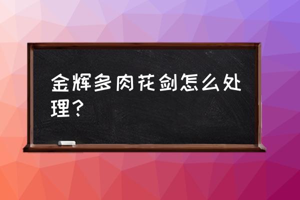 多肉花剑开完怎么处理 金辉多肉花剑怎么处理？