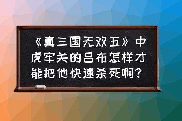 真三国无双5如何杀吕布 《真三国无双五》中虎牢关的吕布怎样才能把他快速杀死啊？