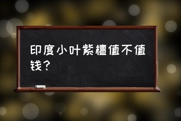 现在小叶紫檀还值钱吗 印度小叶紫檀值不值钱？