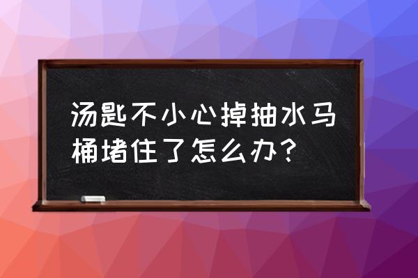 勺子掉进马桶怎么办 汤匙不小心掉抽水马桶堵住了怎么办？