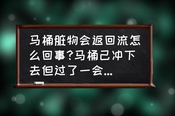 马桶会不会自己飘上来东西 马桶脏物会返回流怎么回事?马桶己冲下去但过了一会儿脏物会漂出来？