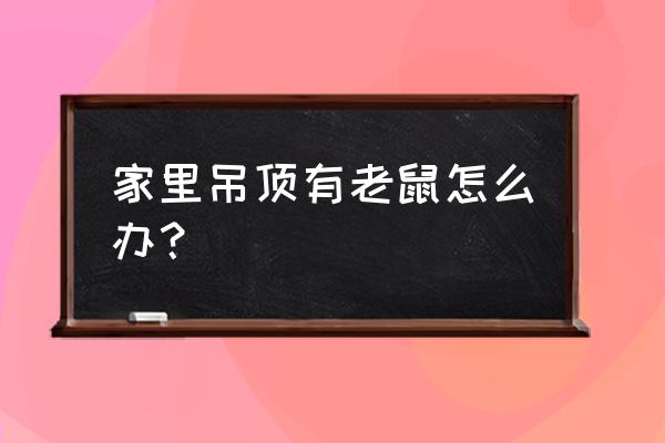 客厅吊顶进了老鼠怎么办 家里吊顶有老鼠怎么办？