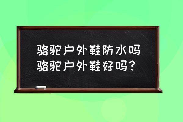 骆驼牌夏季户外登山鞋多少钱 骆驼户外鞋防水吗|骆驼户外鞋好吗？