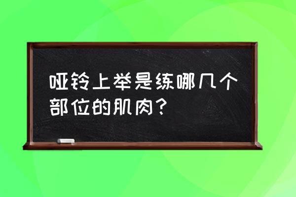 坐姿哑铃上举练什么肌肉 哑铃上举是练哪几个部位的肌肉？