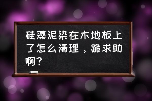 海藻泥弄到木门上怎么清理 硅藻泥染在木地板上了怎么清理，跪求助啊？