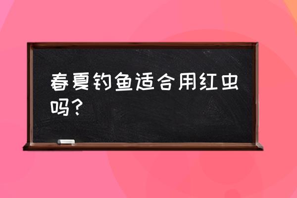 红虫夏天钓鱼有效果吗 春夏钓鱼适合用红虫吗？