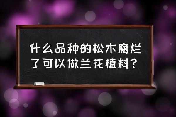 烂松木是什么意思 什么品种的松木腐烂了可以做兰花植料？