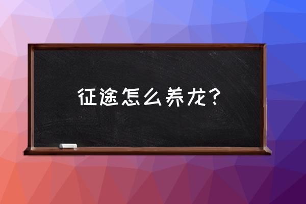 游戏里面怎么养龙攻略 征途怎么养龙？