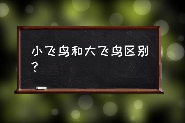 健身器材大飞鸟怎样使用方法 小飞鸟和大飞鸟区别？