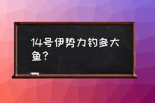 14号鱼钩钓多大鱼价格 14号伊势力钓多大鱼？