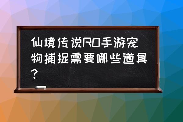 仙境传说古城骑士团怎么走 仙境传说RO手游宠物捕捉需要哪些道具？