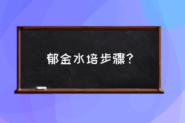 水养郁金香怎么养 郁金水培步骤？