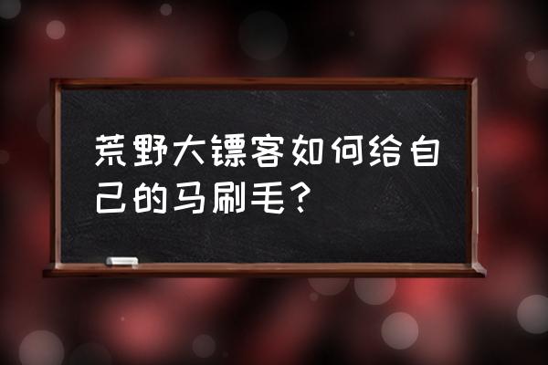 荒野大镖客2洗马怎么才算洗干净 荒野大镖客如何给自己的马刷毛？