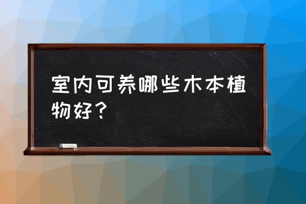 家里养哪几种植物最吉祥的 室内可养哪些木本植物好？