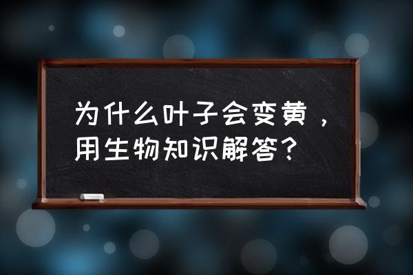 叶子发黄的原因及对策 为什么叶子会变黄，用生物知识解答？