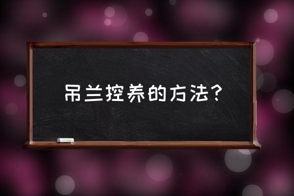 十种吊兰的养殖方法 吊兰控养的方法？