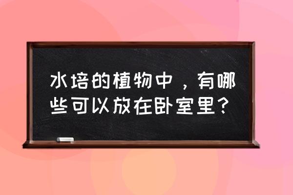 卧室不能养的十种盆栽 水培的植物中，有哪些可以放在卧室里？