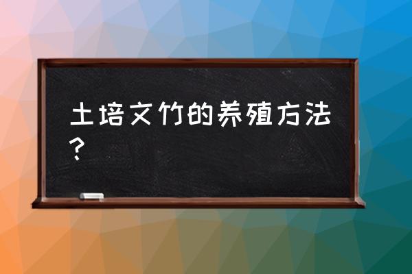 文竹适合室内养还是室外养 土培文竹的养殖方法？