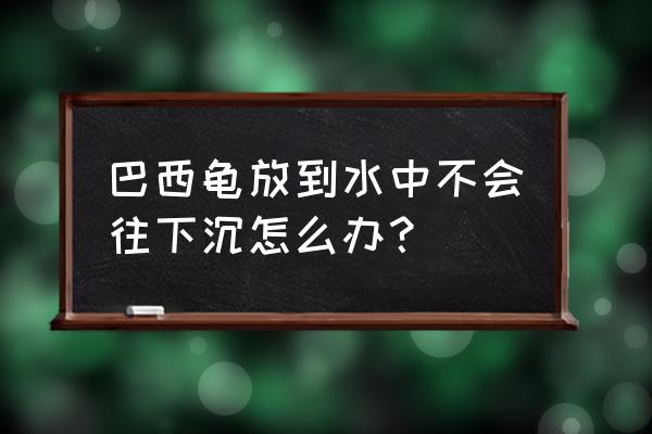 潜水怎么才能不浮起来 巴西龟放到水中不会往下沉怎么办？