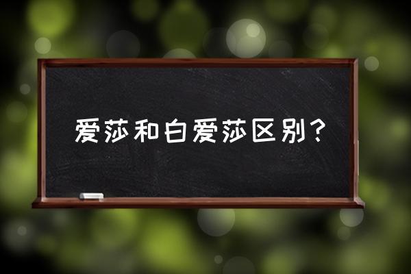 可以跟月季混种的是什么 爱莎和白爱莎区别？