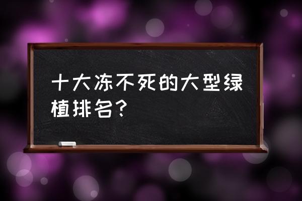 杜鹃花耐冬吗 十大冻不死的大型绿植排名？