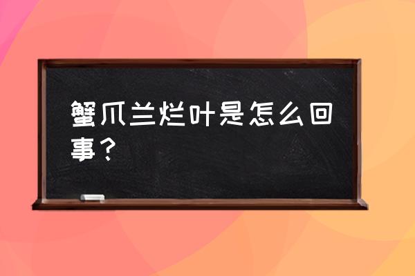 冬天蟹爪兰叶子软塌塌的怎么回事 蟹爪兰烂叶是怎么回事？