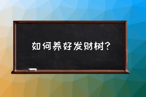 淘宝光合平台如何挣钱 如何养好发财树？