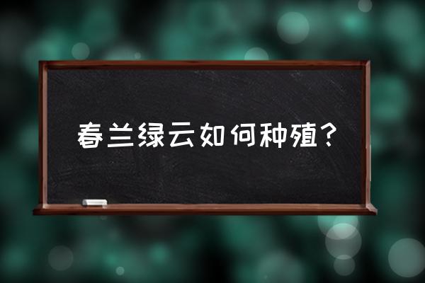 春兰的养殖方法和禁忌 春兰绿云如何种殖？