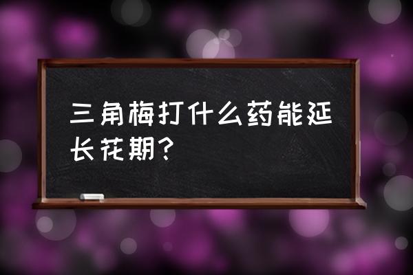 三角梅夏天需要遮雨么 三角梅打什么药能延长花期？