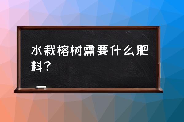 榕树盆景上什么肥 水栽榕树需要什么肥料？