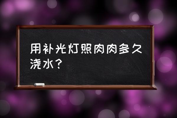 多肉夏天浇水的最佳时间 用补光灯照肉肉多久浇水？