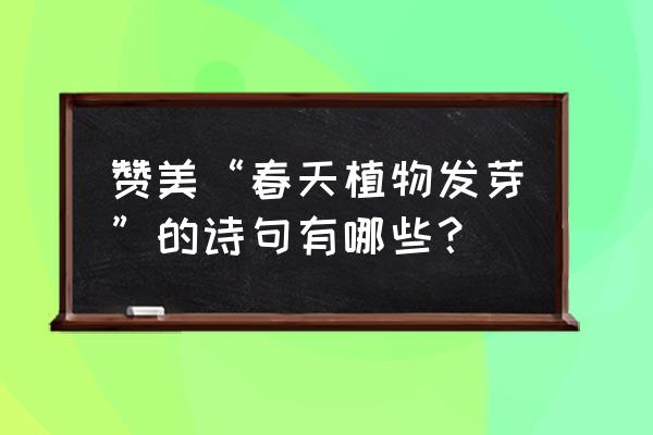 水仙花种子怎样传播 赞美“春天植物发芽”的诗句有哪些？