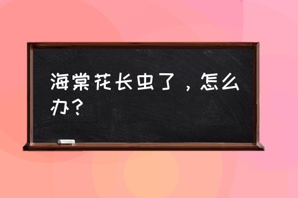 海棠花叶片有腻虫怎么办 海棠花长虫了，怎么办？