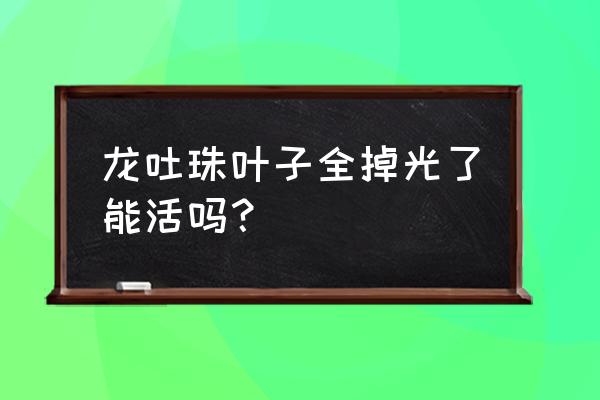 龙吐珠剪枝正确剪法示意图 龙吐珠叶子全掉光了能活吗？