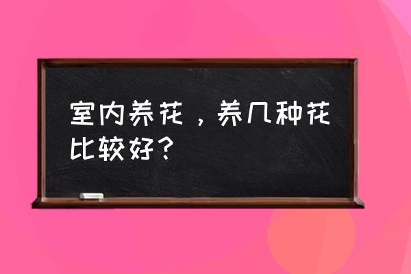 室内植物的种类及特点 室内养花，养几种花比较好？