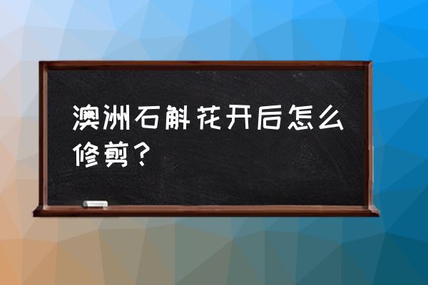 澳洲坚果怎么修剪才能挂果多 澳洲石斛花开后怎么修剪？