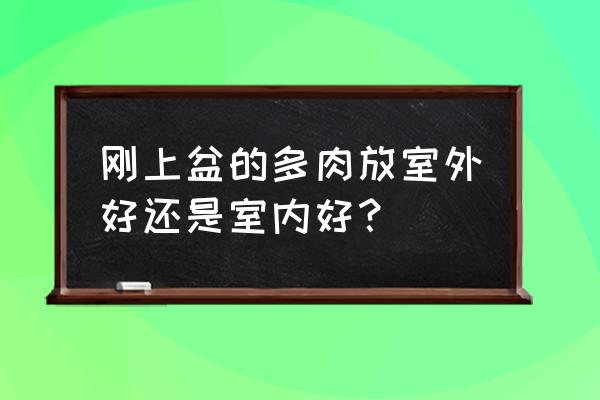 如何判断新上盆的多肉已经服盆了 刚上盆的多肉放室外好还是室内好？