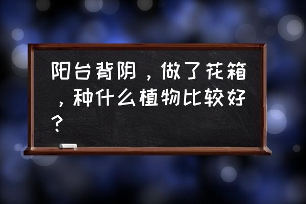 挑选什么盆栽最好 阳台背阴，做了花箱，种什么植物比较好？