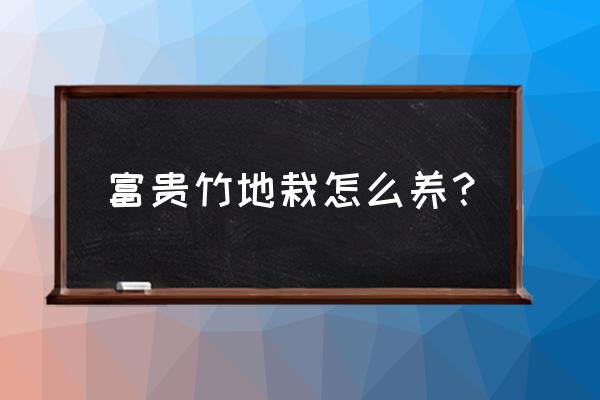 富贵竹可以直接土养吗 富贵竹地栽怎么养？