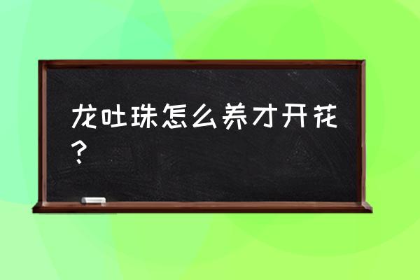 龙吐珠刚栽上用浇水吗 龙吐珠怎么养才开花？