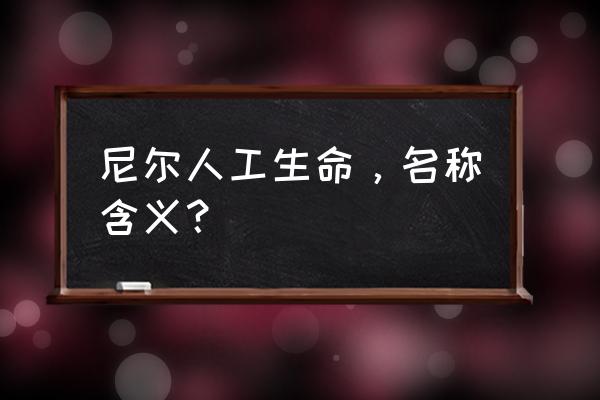 尼尔伪装者支线错过可以重新接么 尼尔人工生命，名称含义？