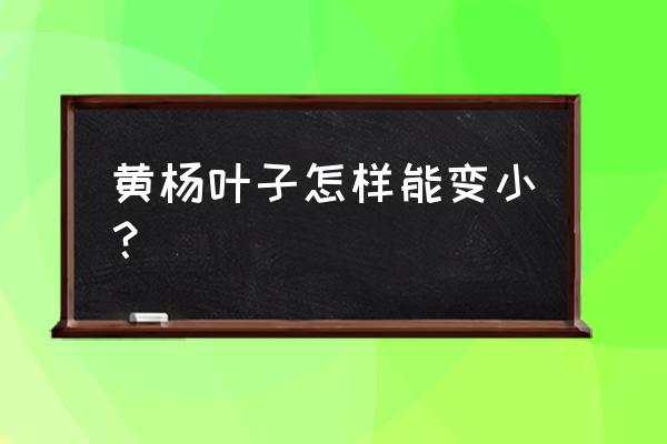 清香木叶子发黄原因及解决办法 黄杨叶子怎样能变小？